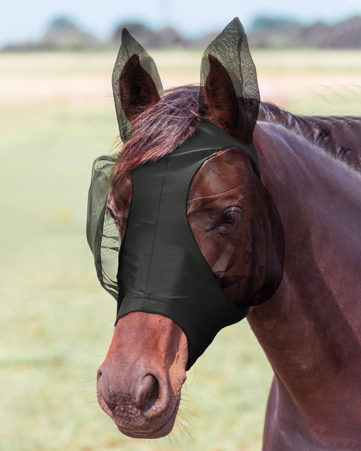 JWODVNTH Fly Masks for Horses with Ears - Large Eye Space, Comfort, UV-Block - Horse Fly Mask for Daily Stable, Hot Weather Riding, and Competition - Cob, Black