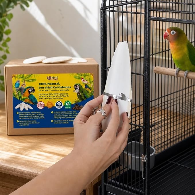 Birds LOVE 5.5-6″ Cuttlebones for Birds – 100% Natural Sun-Dried Calcium Carbonate Mineral Supplement – for Parakeets, Budgies, Cockatiels, Finches & Canaries – 4 lb with Holder – Made in Vietnam