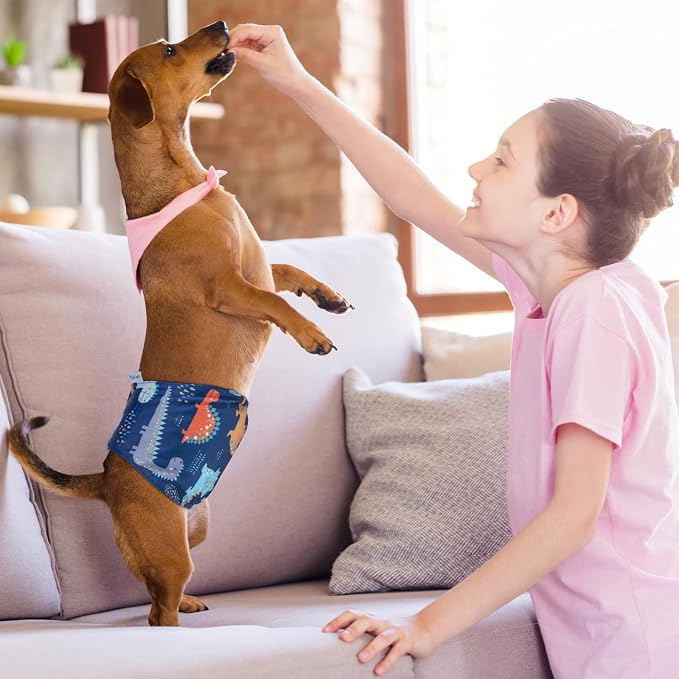 Pet Soft Dog Belly Band - 3 Packs Reusable Dog Diapers Male Doggy Diapers Wraps - Washable Dogs Belly Bands for Male Dogs (Dino, XS)
