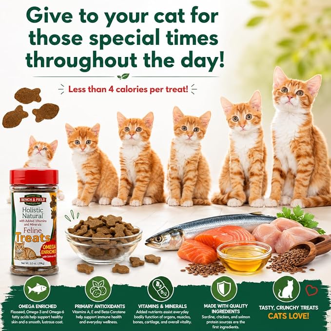 Bench & Field Holistic Natural Healthy Kitty Cat Treats | Crunchy Fish-Shaped Bites | Delicious Seafood Flavored Snack, 3-Ounce (Pack of 6 Bottles)