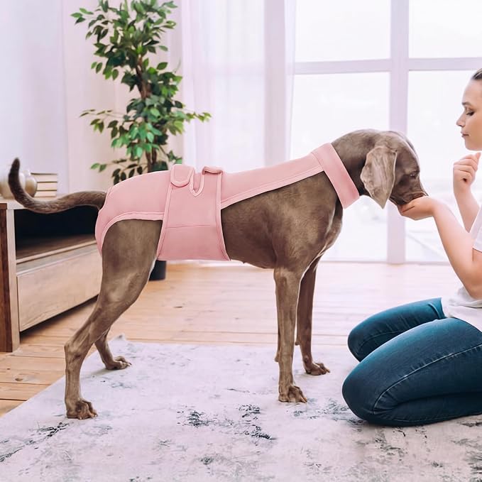 Dog Diapers Female Reusable Washable Period Diaper with Suspender,Adjustable Dog Panties Anti-Harassment, Doggie Diapers for Incontinence, Heat Cycles, or Senior Dogs（XS-XL）