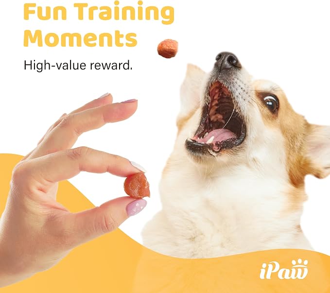 iPaw 2 Saver Combo Chicken Tots Dog Treats for Puppy Training, SQF Certified Human Grade Dog Treat, Hypoallergenic, Easy to Digest (Chicken Tots), 2 Packs