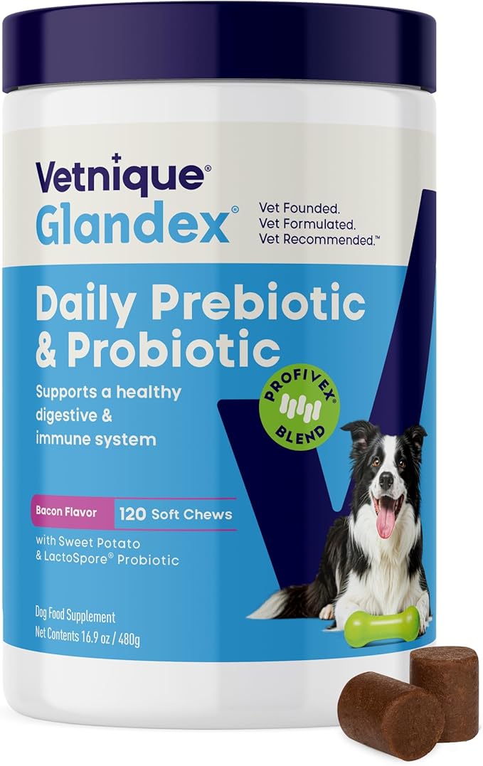 Vetnique Glandex Dog Probiotic Chews, Daily Probiotics for Dogs 5 Strains, Prebiotics & Digestive Enzymes for Gut & Immune Health, Vet Formulated for Occasional Diarrhea (120ct Chews, Proboitic Chews)