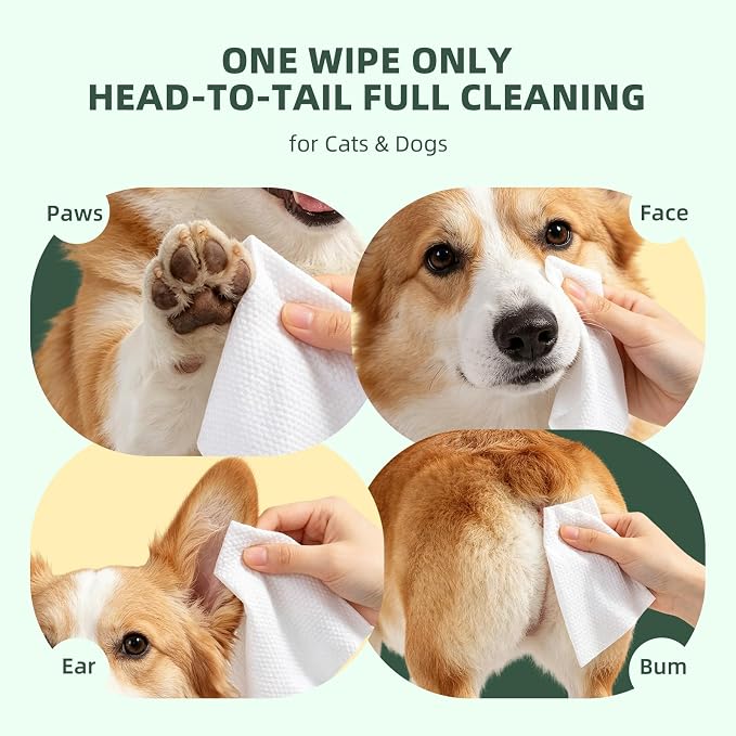 IMMHABI 100 Count Dog Wipes for Paws and Butt Hypoallergenic Pets Cleansing & Deodorizing Hygienic Puppy Wipes for Dogs Face and Body Wipes Cleaning Fur Doggie Wipes Doggy Wipes (White Tea)