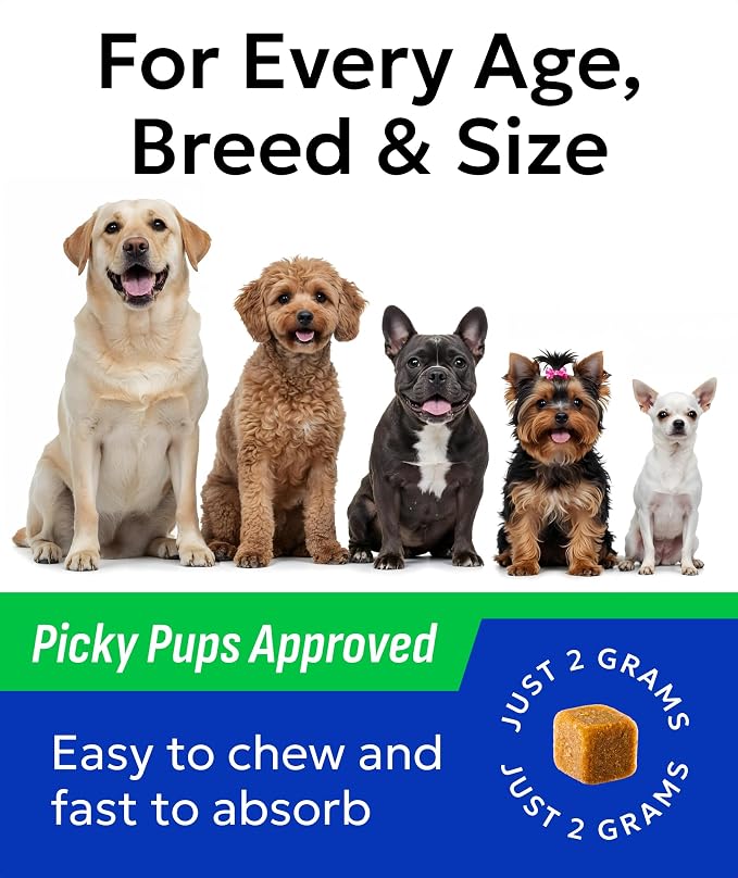 BARK&SPARK Dog Probiotics 180 Chews for Digestive Health w/Enzymes & Fiber - Diarrhea Gas Treatment Upset Stomach Relief - Allergy & Itchy Skin - Pet Probiotics for Dogs