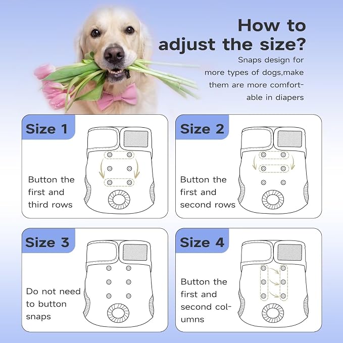 Paw Legend Washable Reusable Female Dog Period Diapers for Heat Doggie Puppy Diapers for Female Dogs (3 Pack, Small)