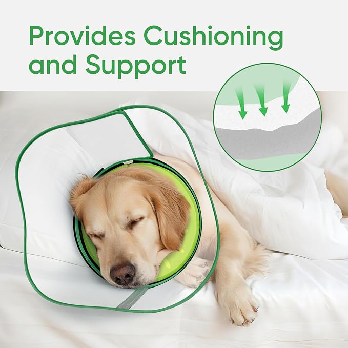 Sponge Dog Cone Collar, Dog Recovery Collar Alternative with Detachable High Clear Shield, Adjustable Soft Neck Cone for Small Medium Large Dogs, Stop Licking After Surgery (Kiwi,L)