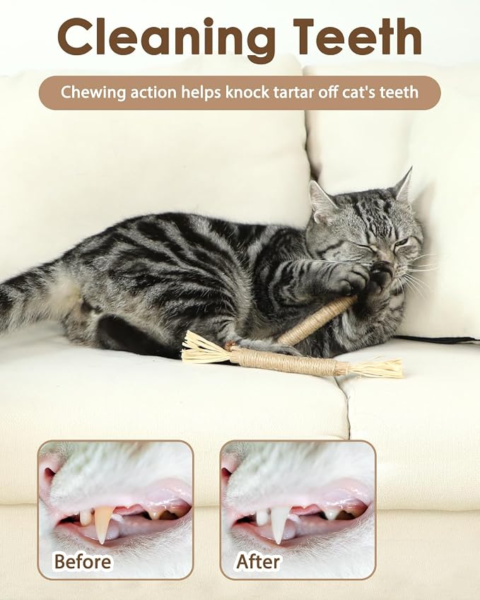 Tocirelo Catnip Toys and Silvervine Sticks for Cats