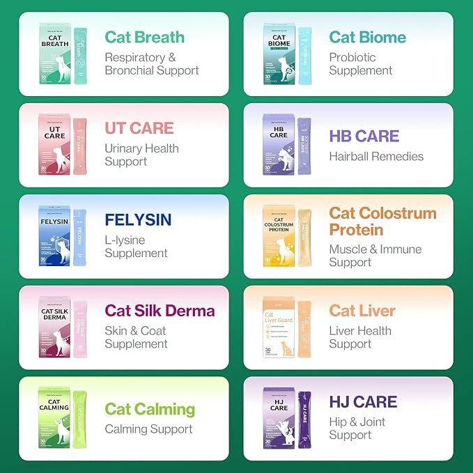 Doctor By UT Care Cat UTI Kidney Support Urinary Supplement Cranberry Treatment for Cats Renal Health with Pacran, Quercetin, Taurine lickable Formula Individually Packaged (1 Pack)