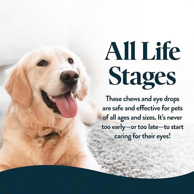 Vision Chews Eye Supplements for Dogs & Cats with Omega 3 Krill, Astaxantin, Choline, Lutein, Glutathione, Cat Vision Supplement & Dog Eye Supplements, Chicken Liver Flavor, 60 Chews, 3.5g Each