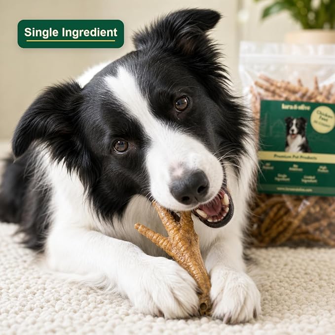 Lara & Olive Chicken Feet Dog Treats, All Natural Dehydrated Single Ingredient Chews, High Protein, 30 Count
