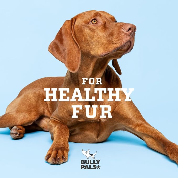 12 inch Jumbo Bully Sticks for Large Dogs (5 Pack) - Extra Thick Beef Pizzle Sticks, Long Lasting Dog Bones, Easily Digestible Dental Chews, Naturally Low Odor, Rawhide Free Dog Treats