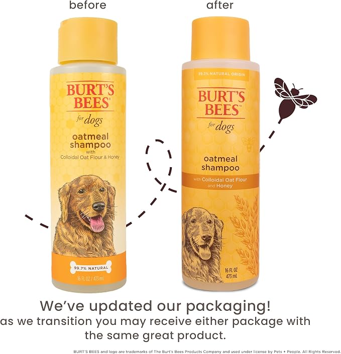 Burt's Bees for Pets Oatmeal Dog Shampoo with Honey, Soothing Formula for Itchy and Sensitive Dog Skin, Colloidal Oat Flour and Honey, pH Balanced, Sulfate-Free, 16 Fl Oz - 2 Pack