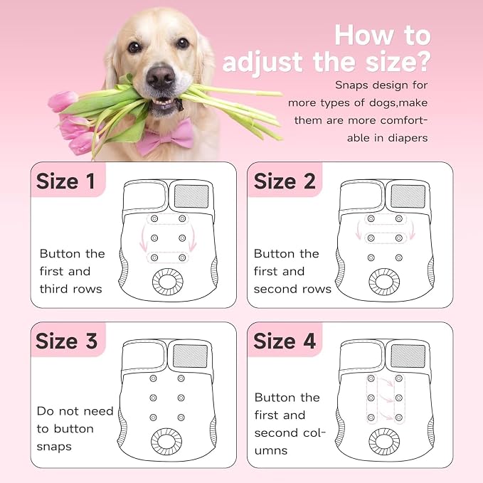 Paw Legend Washable Reusable Female Dog Period Diapers for Heat Doggie Puppy Diapers for Female Dogs (3 Pack,X-Small)
