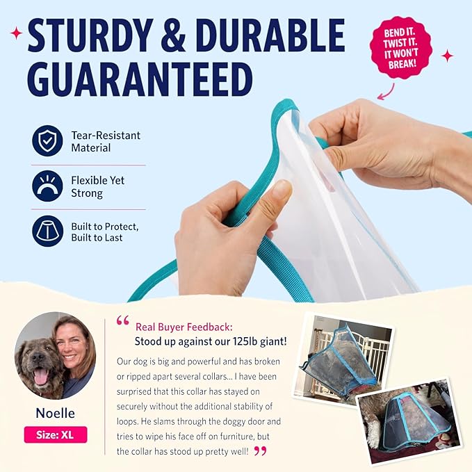 Soft Neck Pad - Hard Plastic Dog Surgery Recovery Cone Collar for Small Dogs, Clear Vision Cone for Dogs to Stop Licking, Comfy Dog Head Cones of Shame, Extra Long Elizabethan Collar, Blue-Green, S