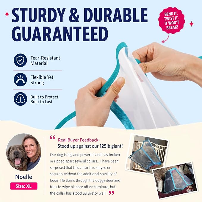 Soft Neck Pad - Hard Plastic Dog Surgery Recovery Cone Collar, Clear Vision Cone for Dogs to Stop Licking, Comfy Dog Head Cones of Shame for Medium Dogs, Extra Long Elizabethan Collar, Blue-Green M