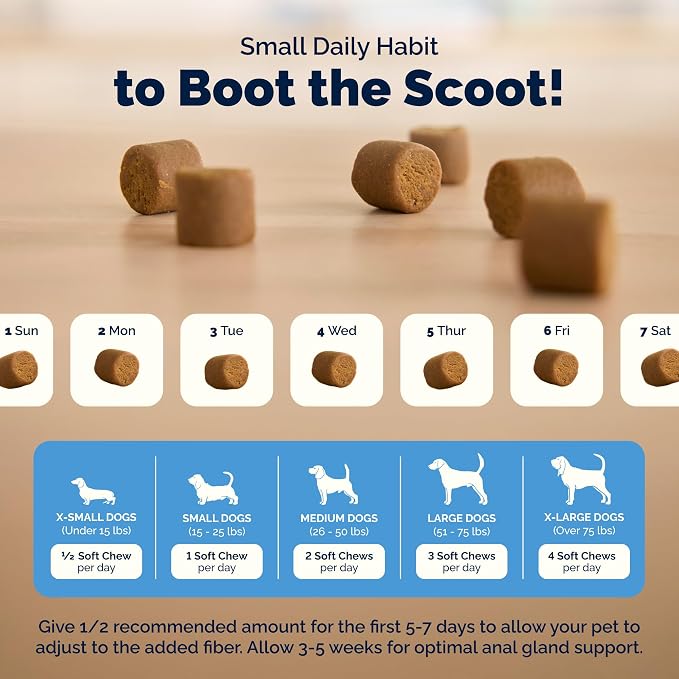 Vetnique Glandex Anal Gland Soft Chew Treats with Pumpkin for Dogs Digestive Enzymes, Probiotics Fiber Supplement for Dogs Boot The Scoot (Peanut Butter Chews, 60 Count)