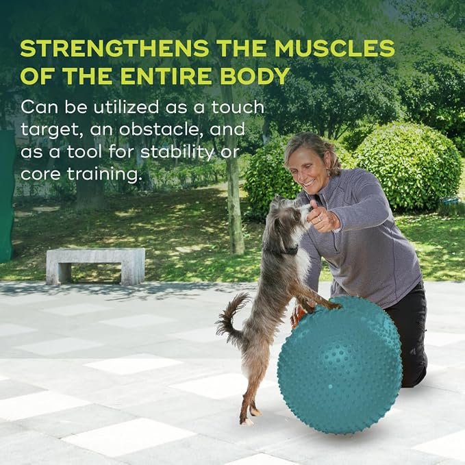 FitPAWS Traxpeanut Dog Training Accessory 60 cm