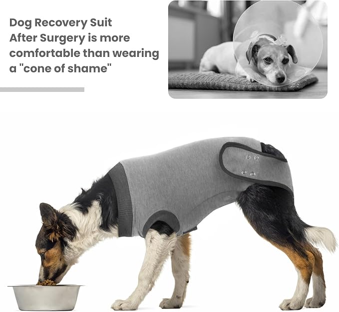 IDOMIK Dog Recovery Suit - Female Spay & Male Neuter Post Surgery Onesie, Anti-Licking Abdominal Wound Bandage & E-Collar Cone Alternative