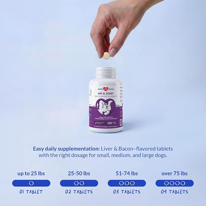 Hip & Joint for Dogs 120 Tablets - Glucosamine, MSM & Chondroitin | Glucosamine, Chondroitin & MSM formula. Supports hip & joint health, eases inflammation & acts as antioxidant.