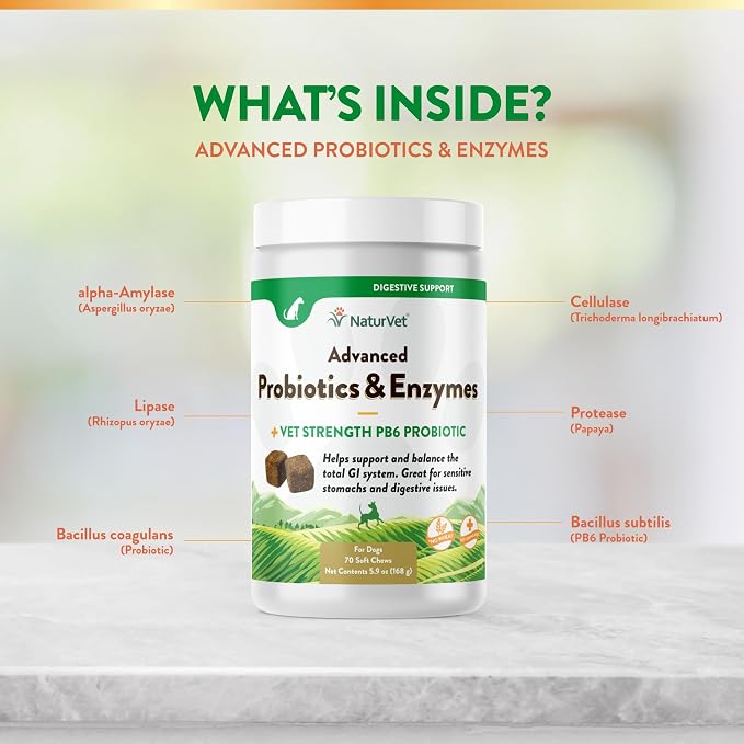 NaturVet Advanced Probiotics & Enzymes, PB6 Dog Soft Chews to Help Sensitive Stomachs and Digestive Issues, Hickory Smoked Bacon Flavored Pet Supplement for Dogs Over 6 Weeks, 70 Count Jar