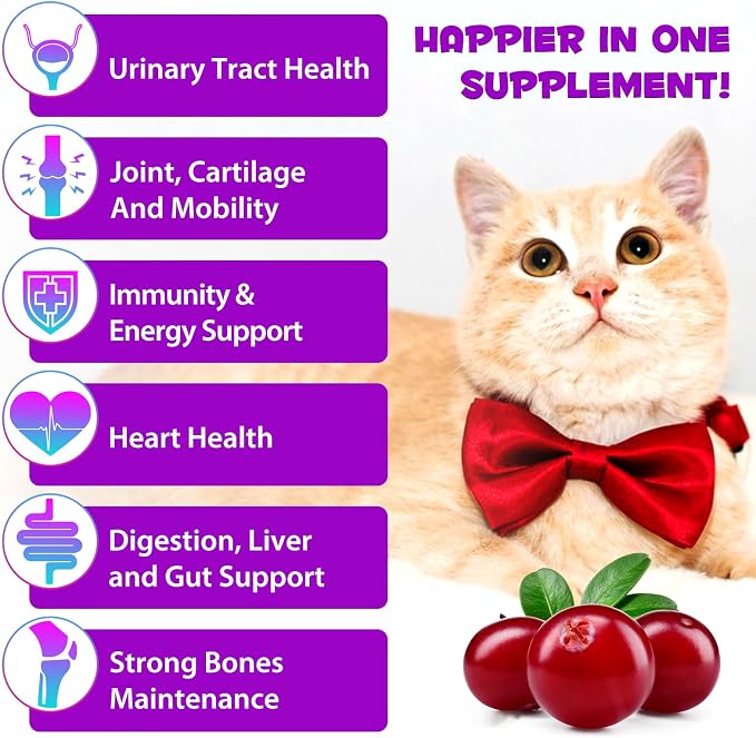 VOSIFSDIY Cat Multivitamin,15 in 1 Cat Vitamins Liquid Drops Supplements for Heart Health, Bones, Joint, Skin & Coat, Bladder, Immune System Support 60ml-2pcs