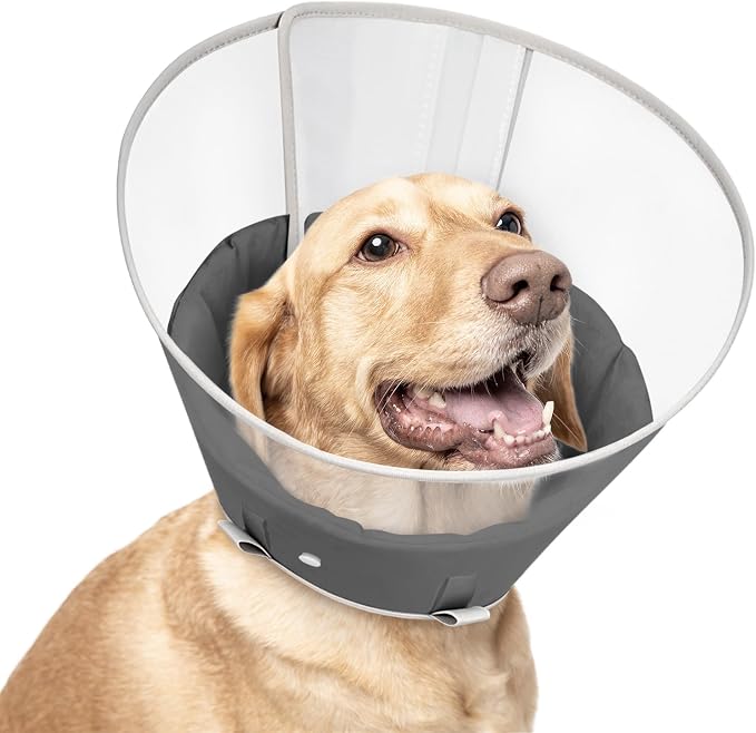 Dog Cone Collar with Snap-on Detachable Soft Liner, Lightweight Transparent Elizabethan Alternative to Stop Licking, for Spay Neuter Surgery Recovery, for Medium Large Small Dogs (Light Black,M)