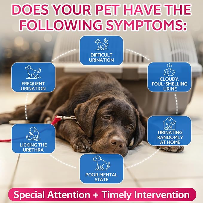 Cat Constipation Relief & Cat & Dog Natural Urinary Tract Infection Treatment with Cranberry Bundle, Digestive Comfort & Bladder Wellness, Natural Herbal Liquid Supplements