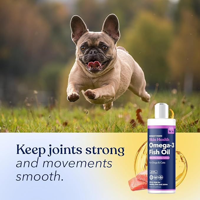 Honest Paws Salmon Oil for Dogs & Cats – Omega 3 Fish Oil Supplement for Skin, Coat, Joint & Heart Health – Natural, Sustainably Sourced Wild Alaskan Salmon, 16 oz (Pack of 2)