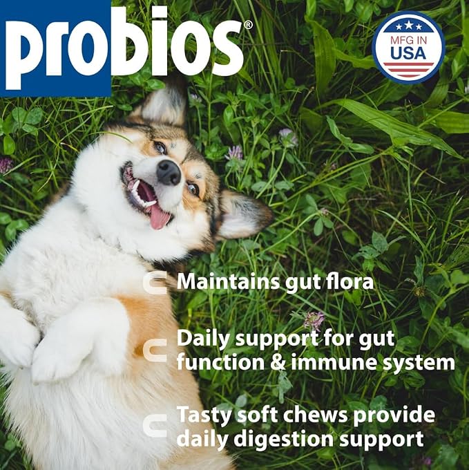 Probios for Dogs Soft Chews, Daily Probiotic Supplement for Gut Health, Digestion and Immune Support Medium and Large Breeds, Chicken Liver Flavor, 8.46oz 60 Chews (Pack of 2)
