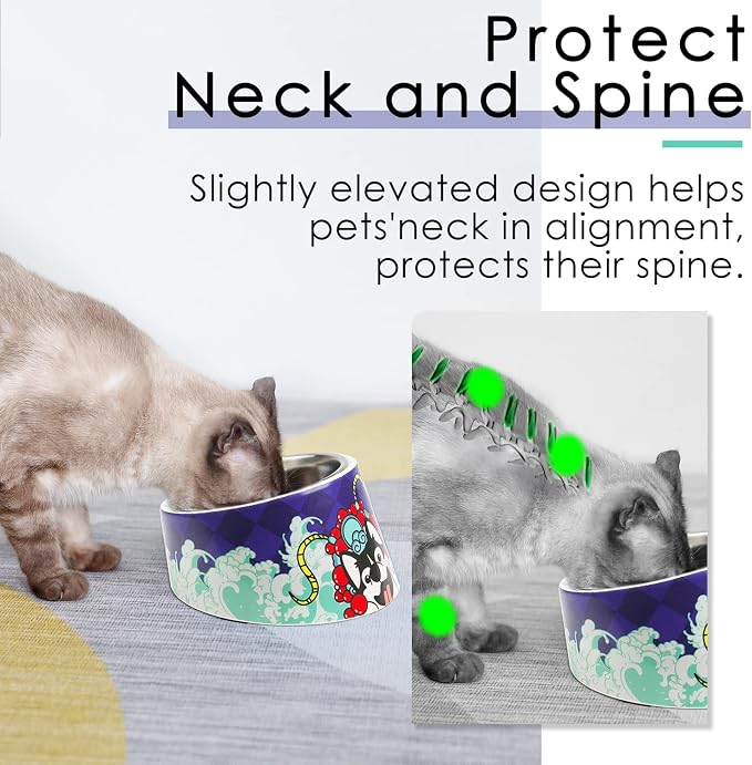 Super Design Mess Free 15° Slanted Bowl for Dogs and Cats, Tilted Angle Bulldog Bowl Pet Feeder, Non-Skid & Non-Spill, Easier to Reach Food