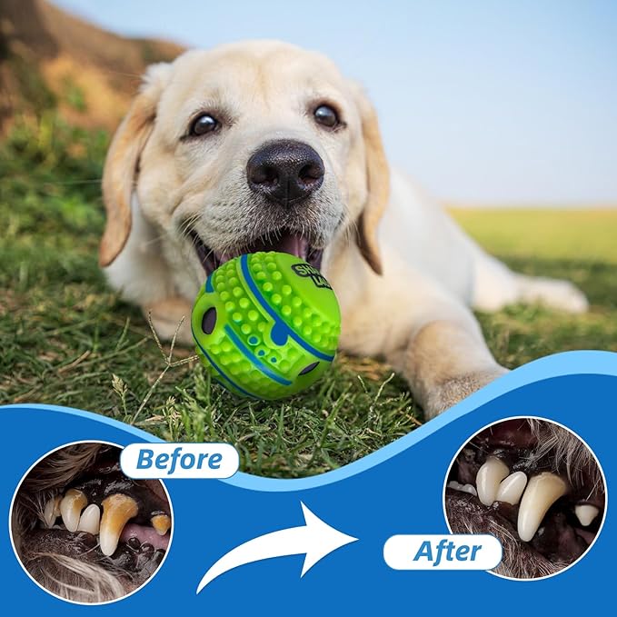 Spiky Interactive Dog Toys Ball, XL, 5.51 in (14 cm) | Shaking with Gibbering Sound, For Training, Teeth Cleaning, Herding