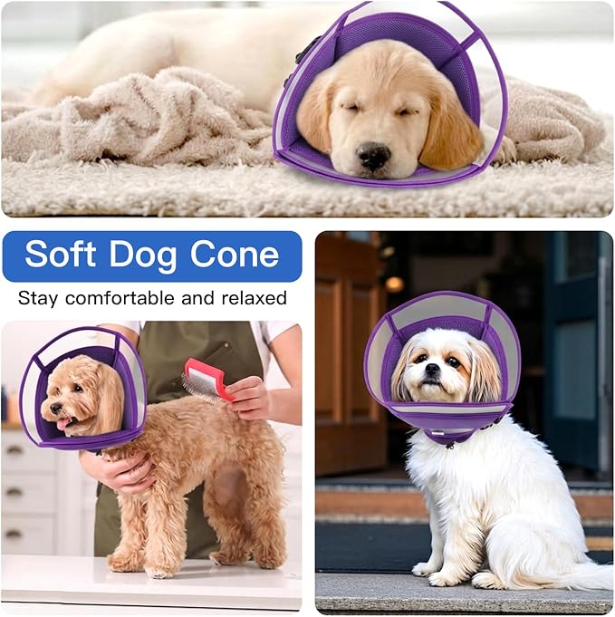 Dog Cone Alternative for Small Dogs to Stop Licking | Adjustable Recovery E-Collar for After Surgery & Wounds, Lightweight & Comfortable Elizabethan Protective Cone (Purple, M)