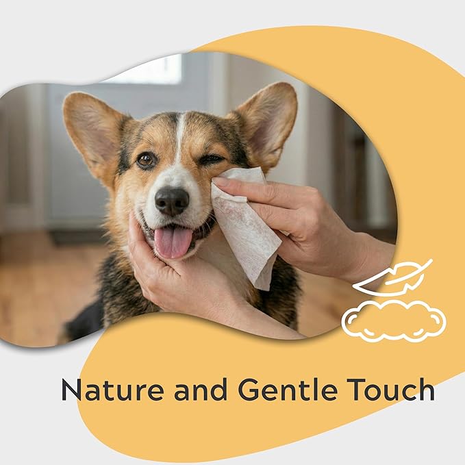 Pet Wipes for Dogs & Cats – Hypoallergenic & Gentle – with Aloe, Oat Extract, Chamomilla, Cucumber, Calendula & Vitamin E – for Cleaning Paws, Face & Body – Unscented – 100 Count
