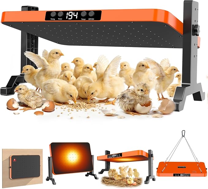 Chick Brooder Heater Plate,200 Watts Chicken Heating Brooder Plate with Adjustable Height & Temperature Display &12H Timer,Safe Chick Brooding Heater for Chicks,Quail,Ducklings