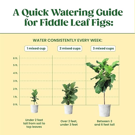 Root Rot Repair & Plant Transplant Shock Recovery – Liquid Supplement for Indoor Plants, Fiddle Leaf Fig, Monstera & Pothos | Heals Roots, Prevents Brown Spots & Leaf Drop, 8 oz – Vital Root+