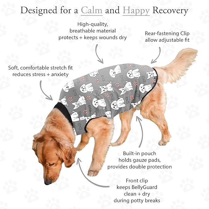 BellyGuard Dog Surgery Recovery Suit, Post-Op Dog Recovery Suit for Female Spay & Male Neuter, Comfy Onesie for Pets, Surgical Body Cover for Canine Healing Support
