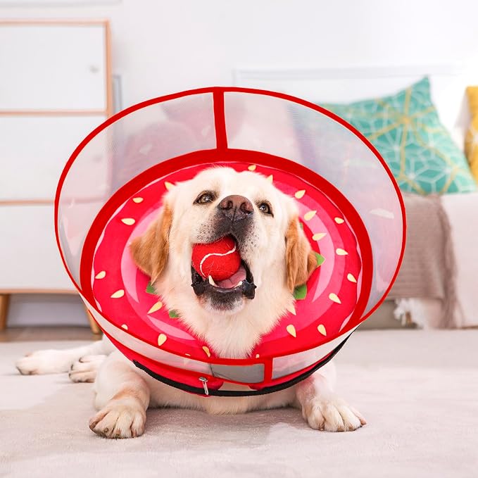 Inflatable Dog Cone Collar for Large Medium Small Dogs, Soft Dog Donut Collar Adjustable Recovery Cone for Pets After Surgery, Extra Enhanced Anti-Licking Guard Shield for Pets (X-Large, Strawberry)