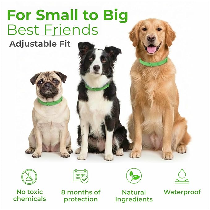 FurLife Flea and Tick Collar for Dogs – Waterproof Black Dog Collar, Pet Supplies for Tick and Flea Prevention for Dogs, Safe for All Breeds