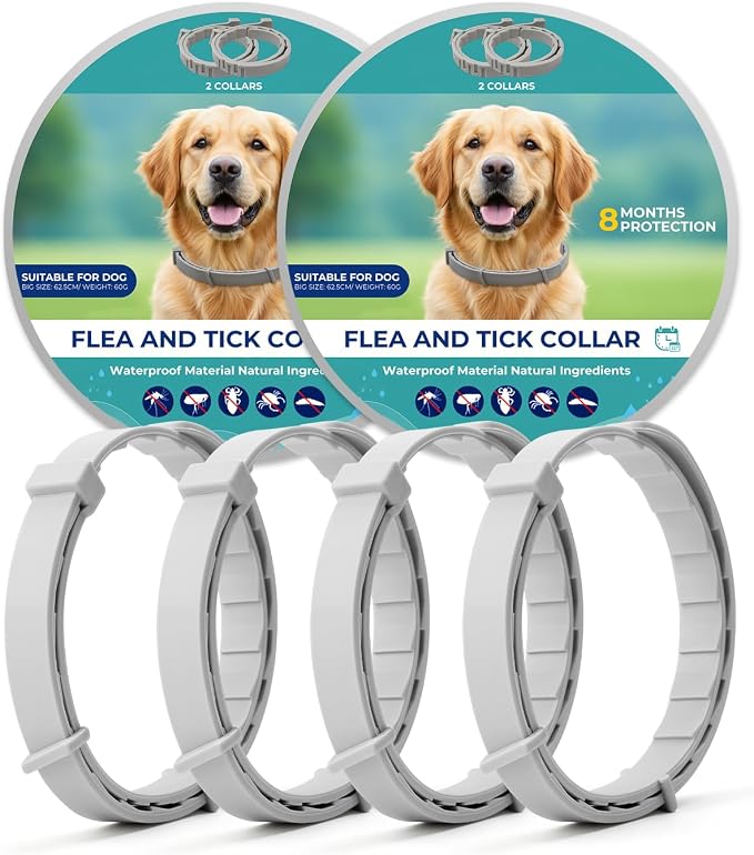 4 Pack Flea Collar for Small Dogs, Tick Collars for Puppy, Small Dog Flea Collar Under 18 lbs, 8 Months Protection