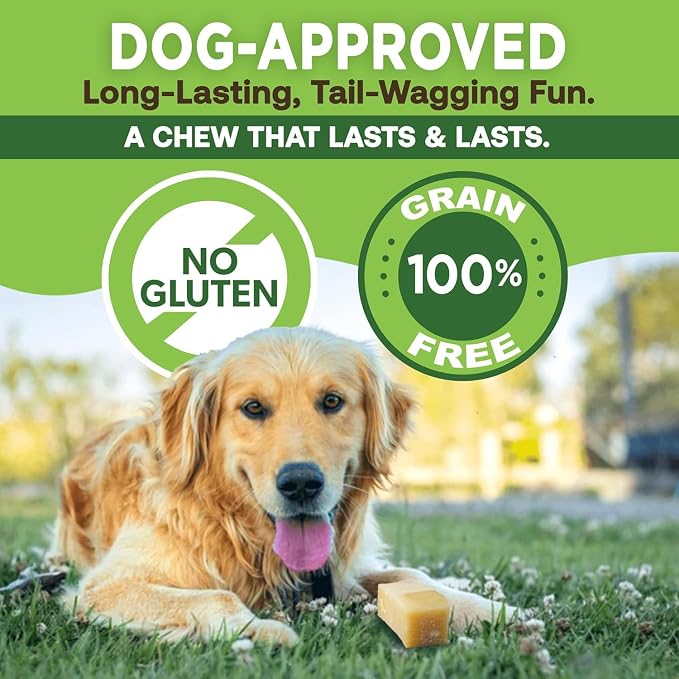 EcoKind Yak Cheese Himalayan Dog Chews, Yak Chews for Medium Dogs, Long Lasting Bone for Aggressive Chewers, 3 Ingredients, Natural High Protein Treats, No Additives, Lactose Free, Medium - 12 Chews