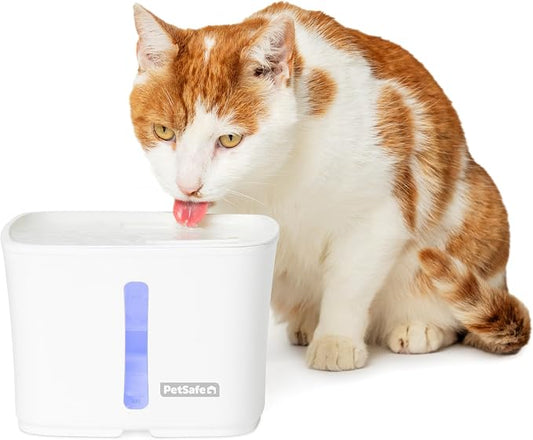 PetSafe Viva Pet Fountain - Encourages Healthy Hydration - Automatic Water Dispenser with Double Filtration - Ultra Quiet Water Fountain - Easy to Assemble & Clean - Stainless Steel - 64 oz