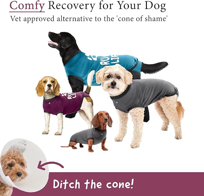 BellyGuard Dog Surgery Recovery Suit, Post-Op Dog Recovery Suit for Female Spay & Male Neuter, Comfy Onesie for Pets, Surgical Body Cover for Canine Healing Support