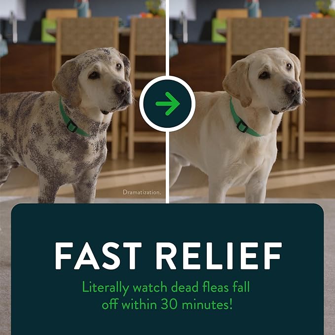 Capstar for Dogs (nitenpyram), Fast-Acting Oral Flea Treatment for Dogs Over 25+ lbs, Vet-Recommended Flea Medication Tablets Start Killing in 30 Minutes, 6 Doses