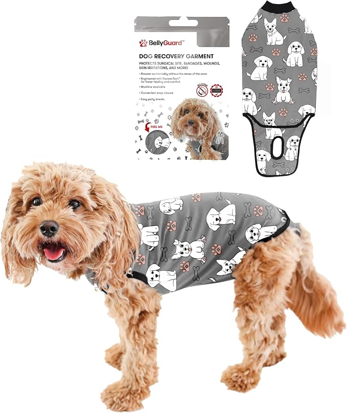 BellyGuard Dog Surgery Recovery Suit, Post-Op Dog Recovery Suit for Female Spay & Male Neuter, Comfy Onesie for Pets, Surgical Body Cover for Canine Healing Support
