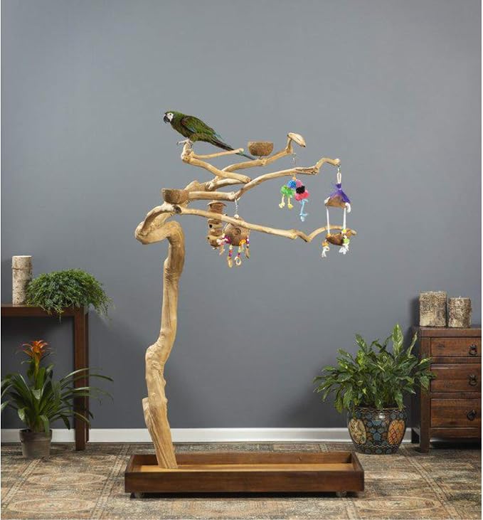 Prevue Pet Products Coffeawood Tree Style # 2 (Medium)