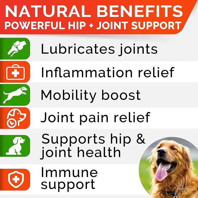 Glucosamine for Dogs w/Chondroitin - Hip & Joint Supplement for Dogs w/Omega-3 Fish Oil - Chondroitin MSM - Advanced Mobility Chews - Joint Pain Relief - Hip & Joint Care - Made in USA (120Ct)