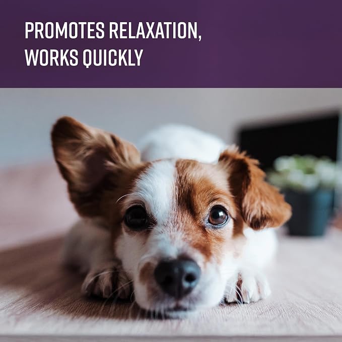 Sentry Calming Diffuser Refill for Dogs, Reduces Barking, Chewing, Anxiousness, and Other Stress-Induced Behaviors, 30-Day Release