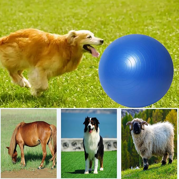 mwater Dogs Herding Ball Large 25 Inch