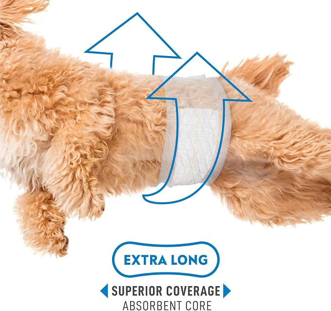 Paw Inspired Select Fit Male Dog Diapers, Disposable Male Wraps with Wetness Indicator| Belly Bands for Small, Medium, Large Dogs (X-Small, 20 Count)
